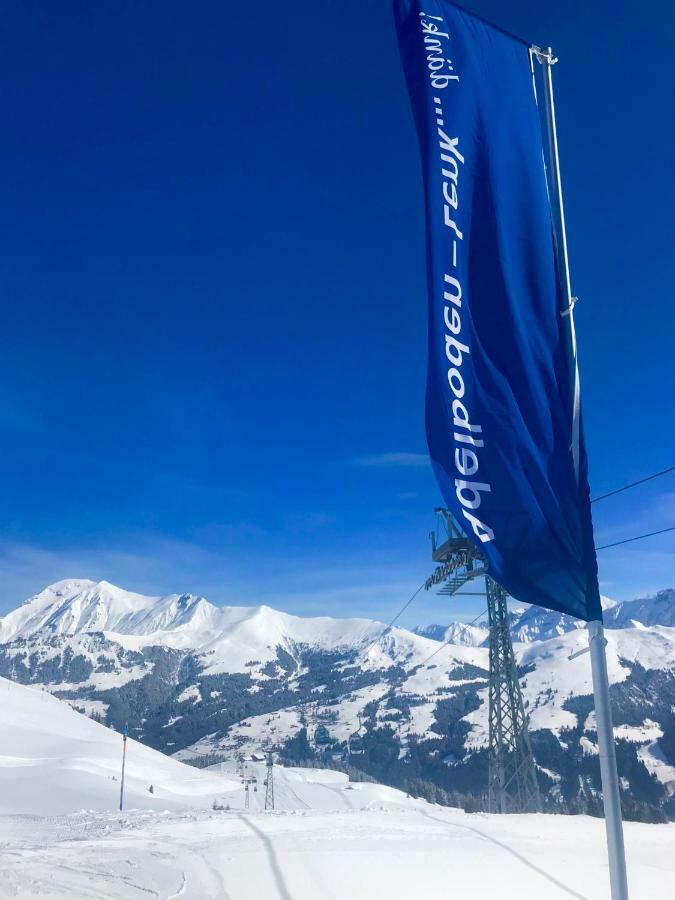 Chalet ELK Lenk im Simmental Extérieur photo